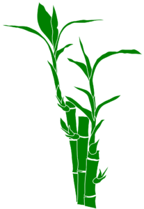 Lucky Bamboo Image